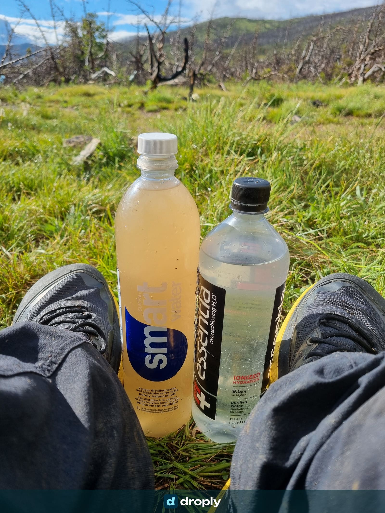 Two different water bottles, one cloudy with dirty water, one clear with clean water, sitting in grass