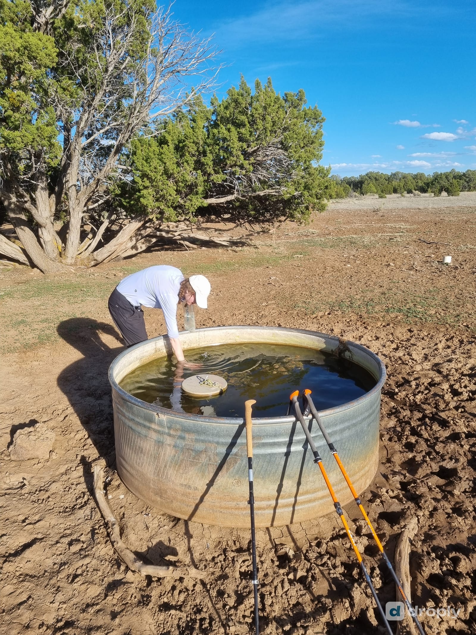 Hiker reaching into the middle of a metal stock tank to fill a bottle, trekking poles resting on the rim