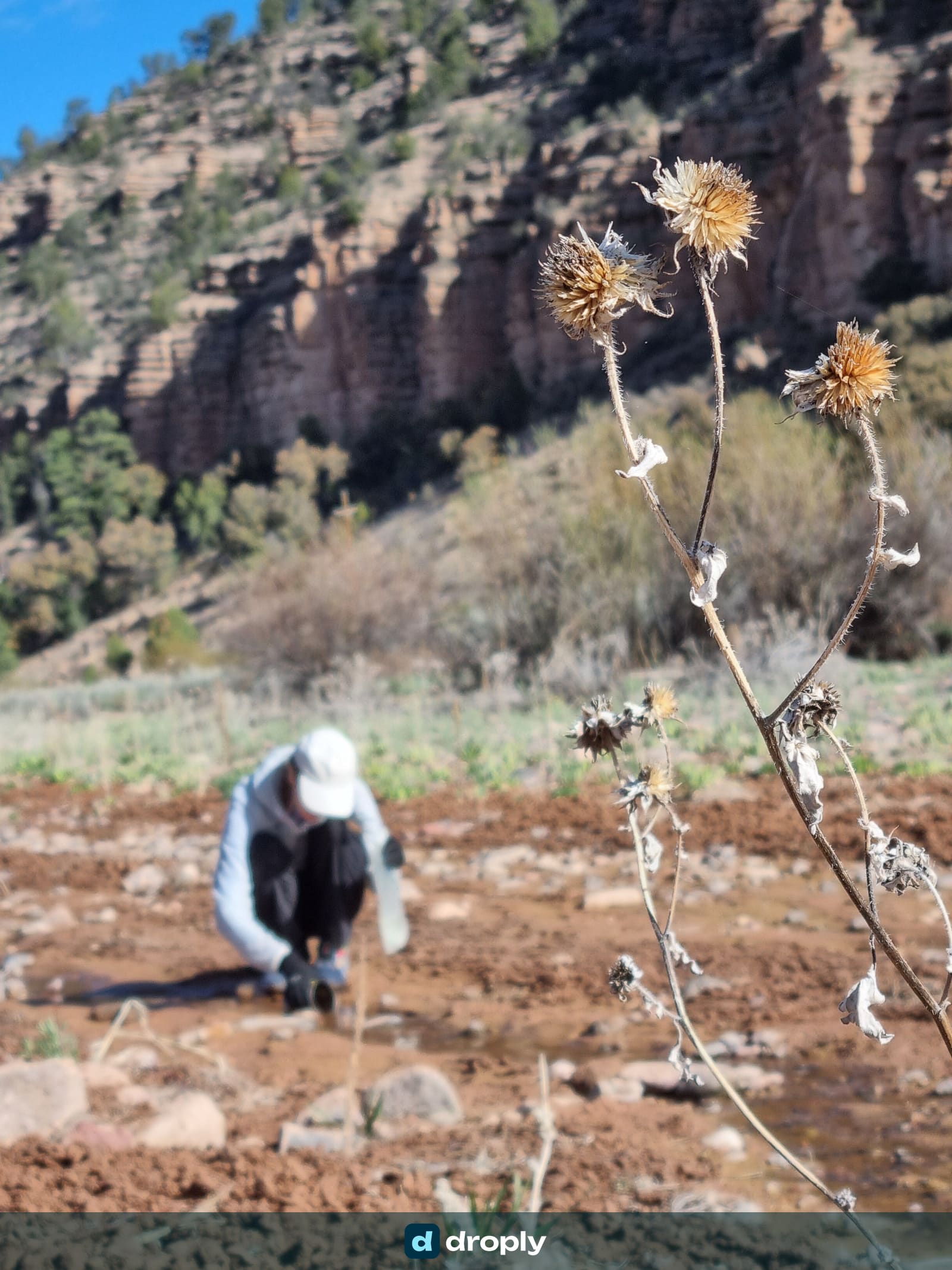 A hiker crouching at a small, muddy creek to refill a water bottle, with canyon walls in the background