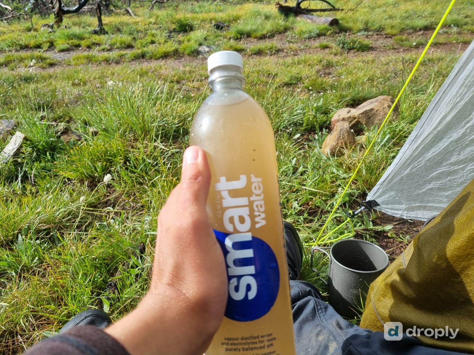 Cloudy, murky water in a plastic bottle before filtering, held up against a grassy background