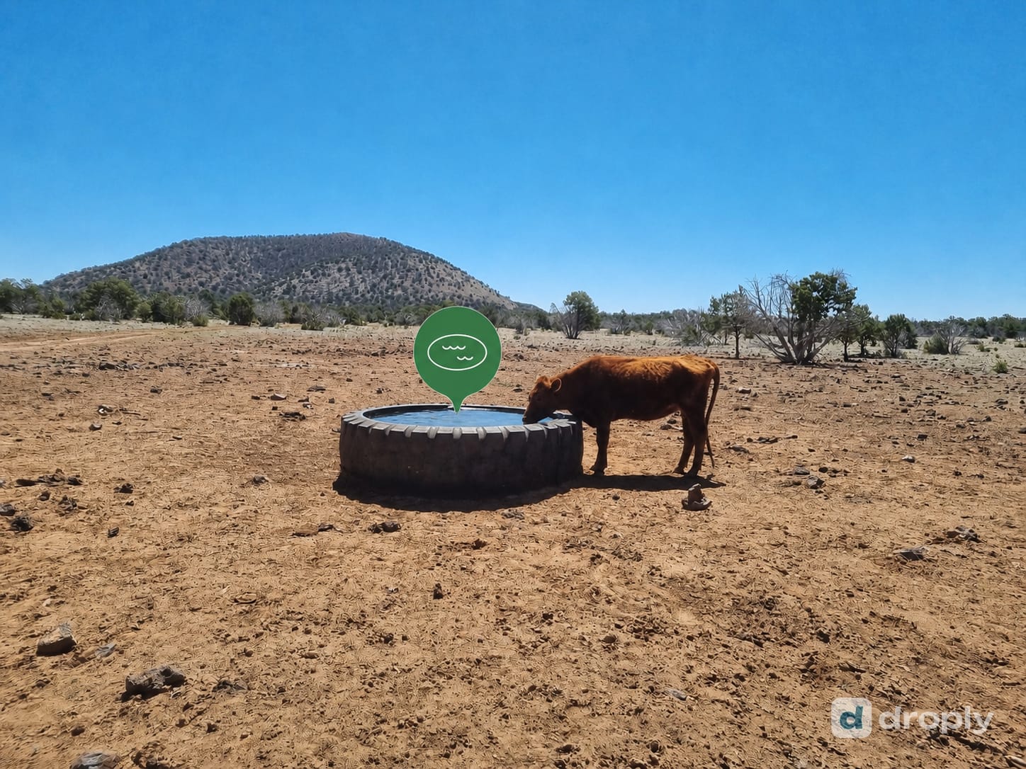 droply map marker over a cattle water tank with a cow drinking, in dry New Mexico desert