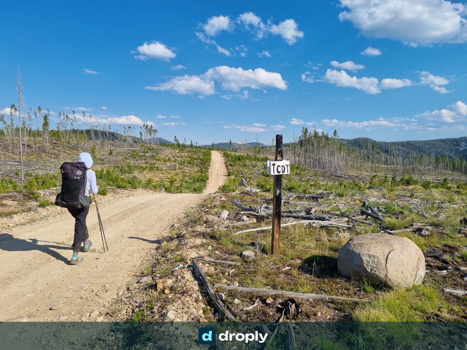 A hiker with a large pack walking a dirt road through a burned forest with a CDT sign