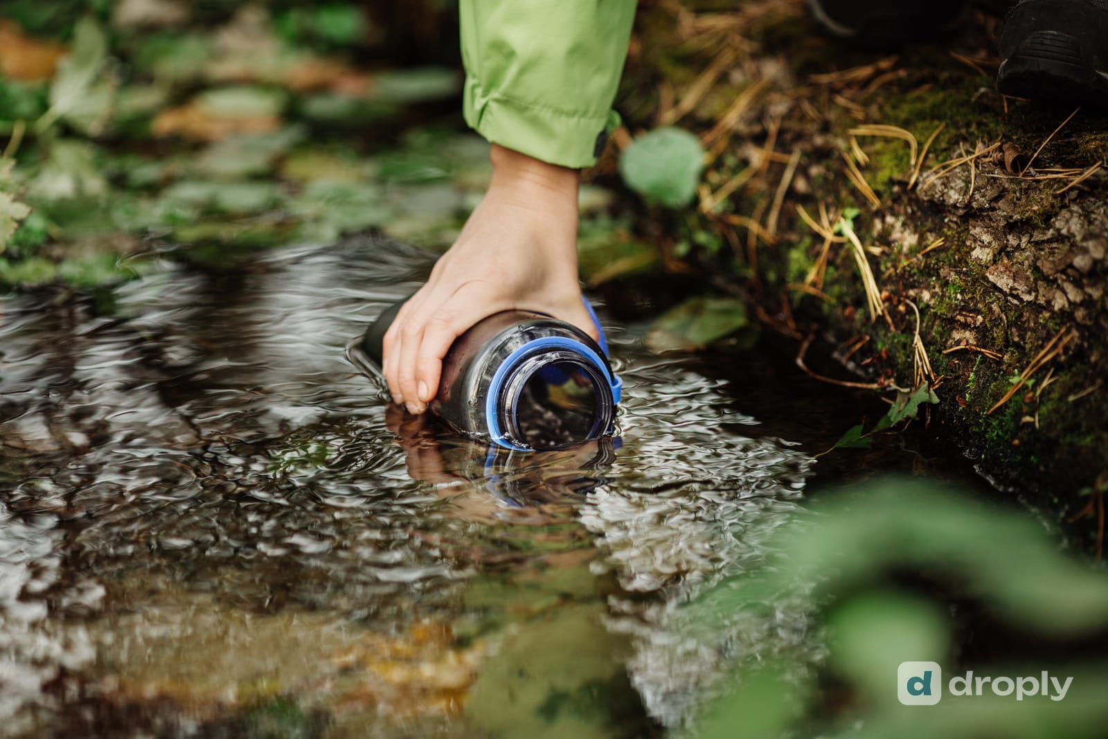 Hiker's hand filling a bottle directly from a forest stream, crouched at the water's edge