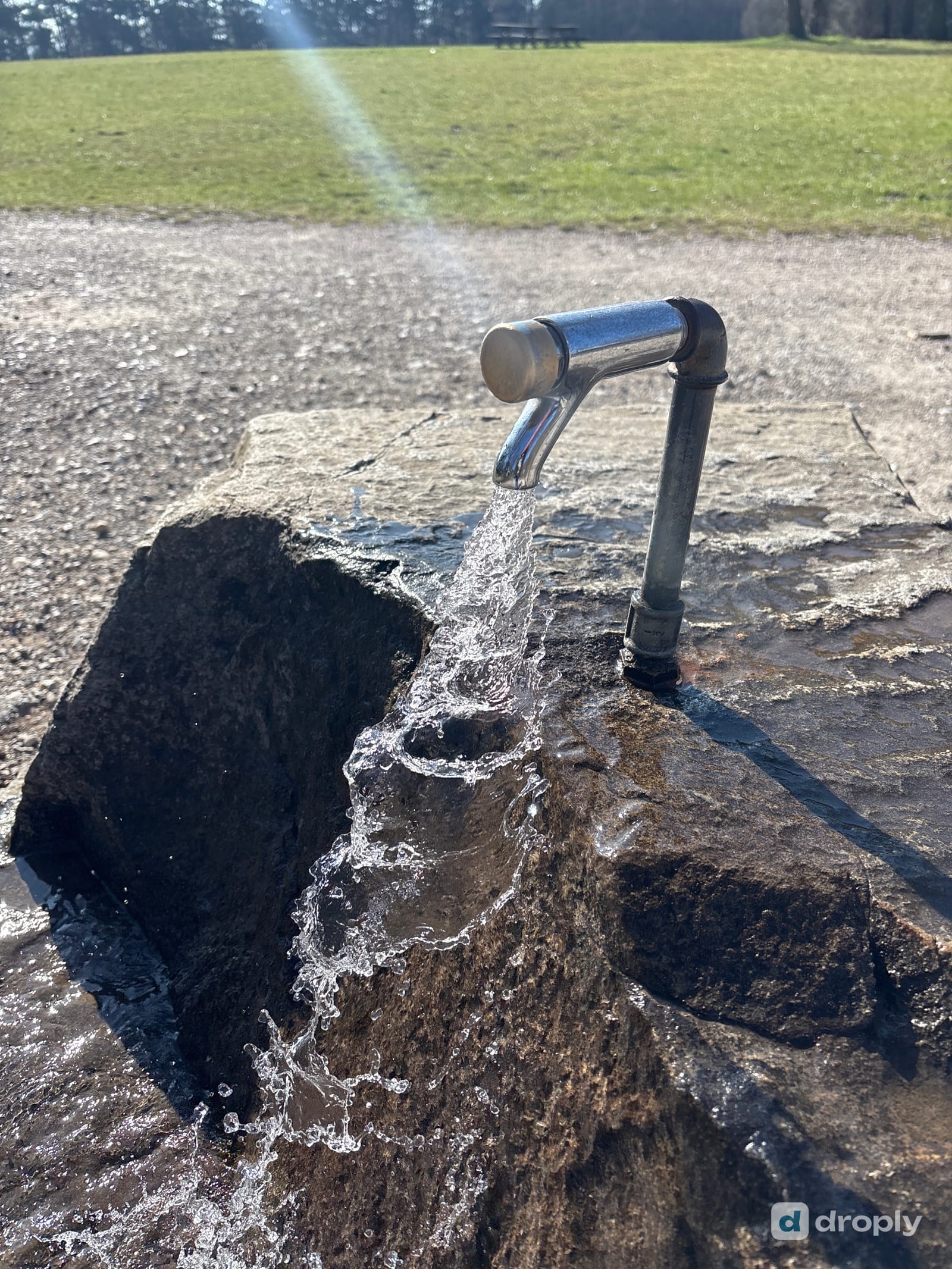 A stainless steel tap flowing into a rock basin, with a green field and forest edge in the background near Vienna, Austria