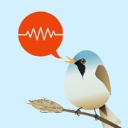 ChirpOMatic app icon, a small bird next to a speech bubble showing a soundwave