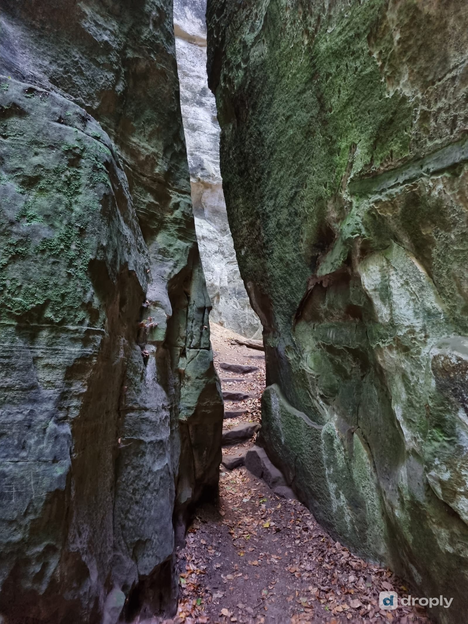 A narrow sandstone passage on route 2 of the Mullerthal Trail