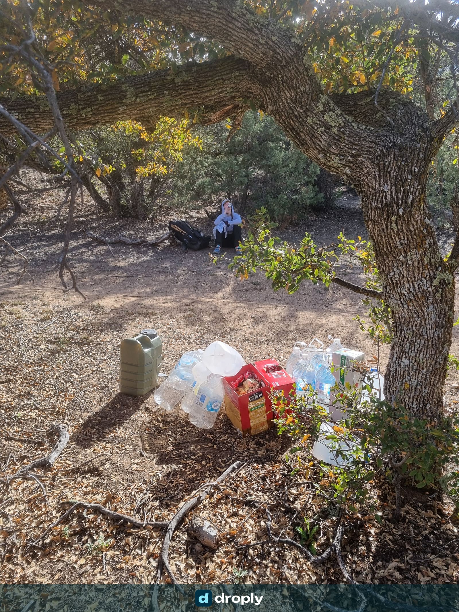 A hiker resting by a trail angel cache under trees, with water bottles and soft drinks visible